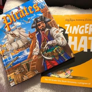 ⭐️2/$12⭐️Pirates search and find book and story book